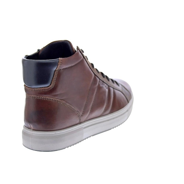 Botines Igi zapatos Hombre modelo 6633733 Marrón Cordón