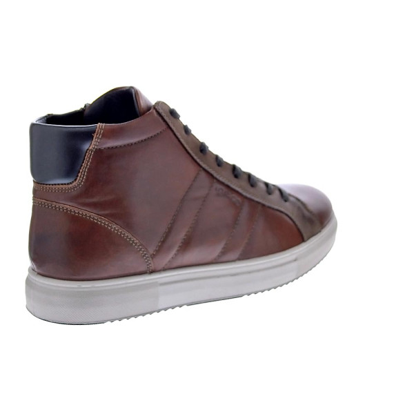 Botines Igi zapatos Hombre modelo 6633733 Marrón Cordón
