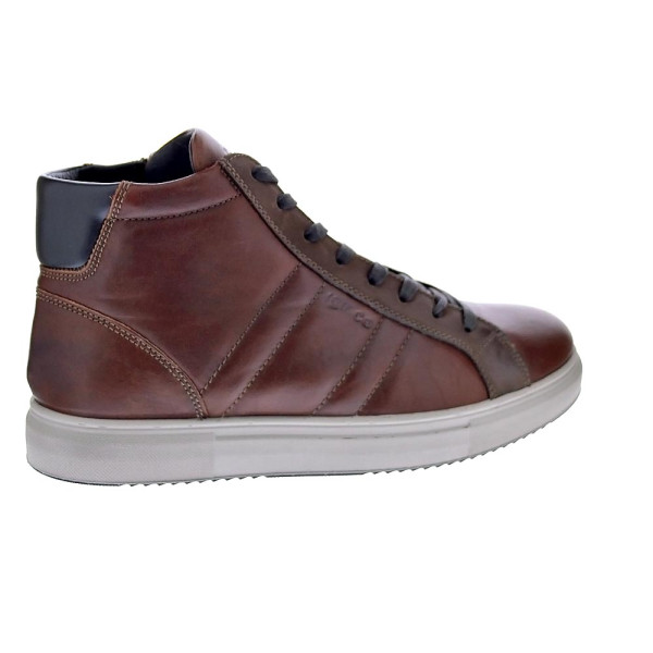Botines Igi zapatos Hombre modelo 6633733 Marrón Cordón