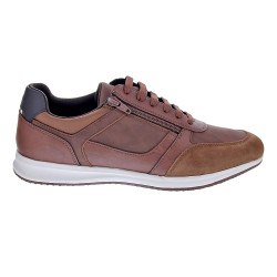 Zapatillas Geox zapatos Hombre modelo Avery Marrón Cordón
