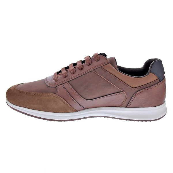 Zapatillas Geox zapatos Hombre modelo Avery Marrón Cordón
