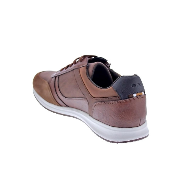 Zapatillas Geox zapatos Hombre modelo Avery Marrón Cordón