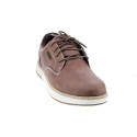 Zapatos Skechers zapatos Hombre modelo Usa Marrón Cordón
