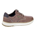 Zapatos Skechers zapatos Hombre modelo Usa Marrón Cordón