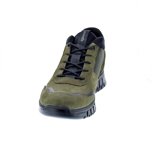 Botines Igi zapatos Hombre modelo 6618822 Verde Cordón