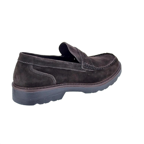 Mocasines Igi zapatos Hombre modelo 6609833 Marrón 