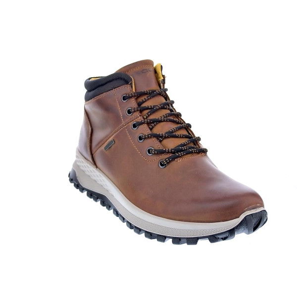 Botines Igi zapatos Hombre modelo 6628122 Marrón Cordón