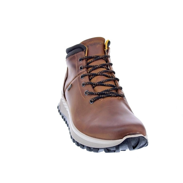 Botines Igi zapatos Hombre modelo 6628122 Marrón Cordón