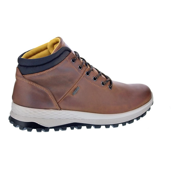 Botines Igi zapatos Hombre modelo 6628122 Marrón Cordón