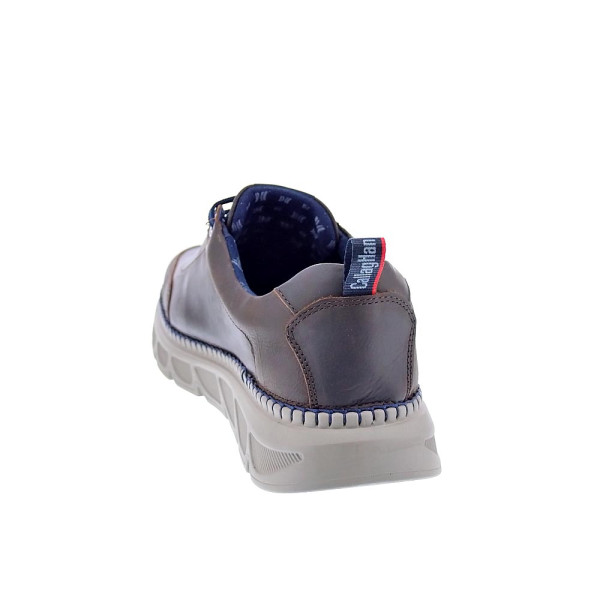 Zapatos Callaghan zapatos Hombre modelo 55102 Marrón Cordón