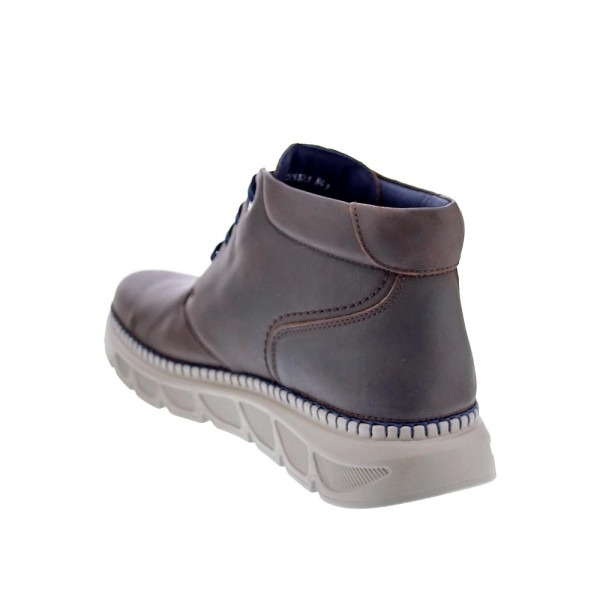 Botines Callaghan zapatos Hombre modelo 55103 Marrón Cordón