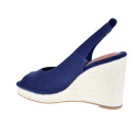 Alpargatas Tommy Hilfiger zapatos Mujer modelo Flag High Azul Hebilla