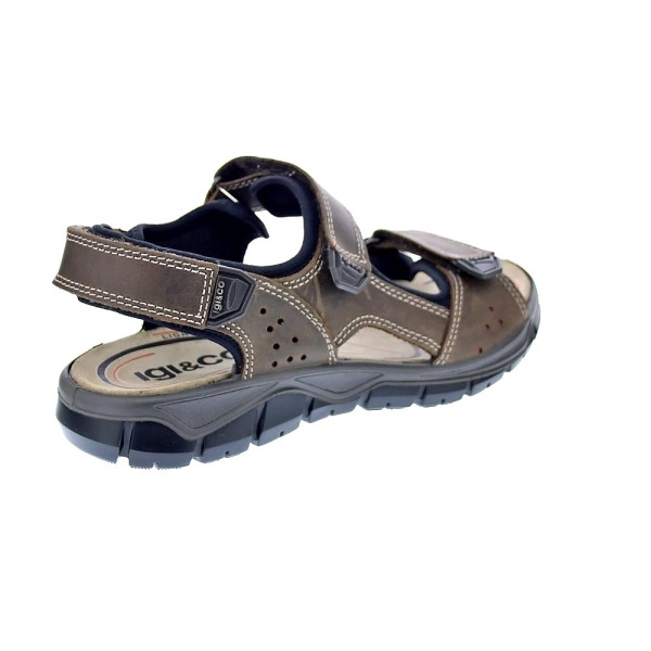 Sandalias Igi zapatos Hombre modelo 7645022 Marrón Velcro
