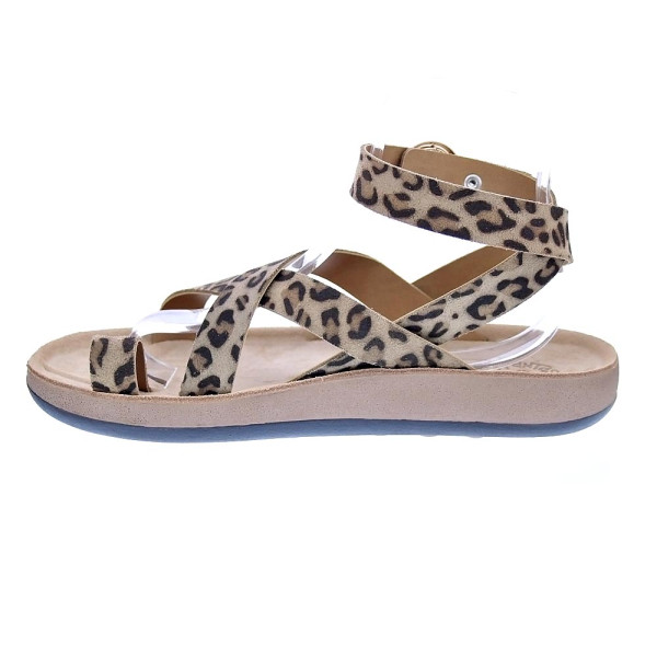 Sandalias Fantasy Sandals zapatos Mujer modelo Noham Marrón Hebillas