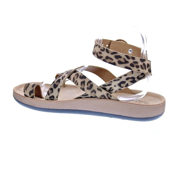 Sandalias Fantasy Sandals zapatos Mujer modelo Noham Marrón Hebillas