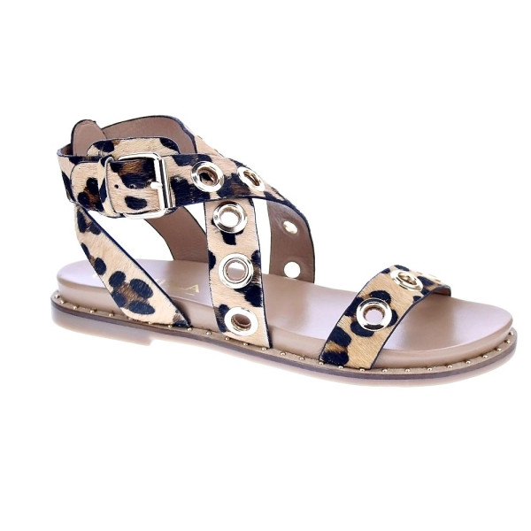 Sandalias Carmela zapatos Mujer modelo 162389 Marrón Hebillas