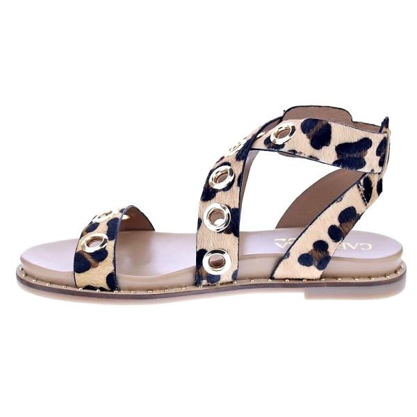 Sandalias Carmela zapatos Mujer modelo 162389 Marrón Hebillas