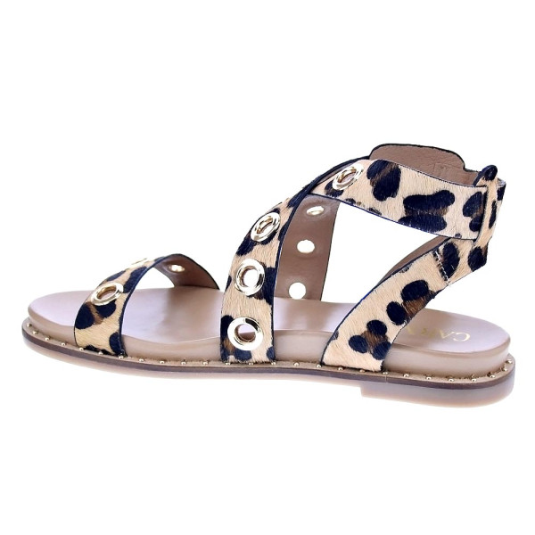 Sandalias Carmela zapatos Mujer modelo 162389 Marrón Hebillas