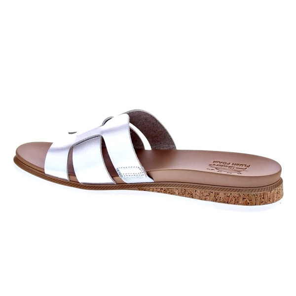 Sandalias Skechers zapatos Mujer modelo Desert Kiss Peak Look Plata 