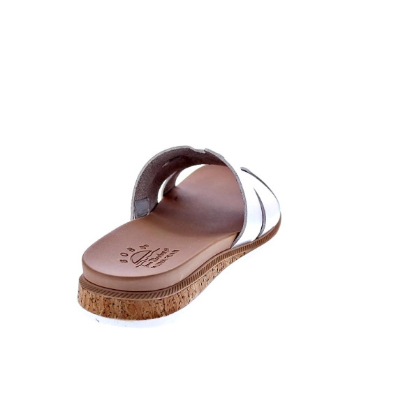 Sandalias Skechers zapatos Mujer modelo Desert Kiss Peak Look Plata 