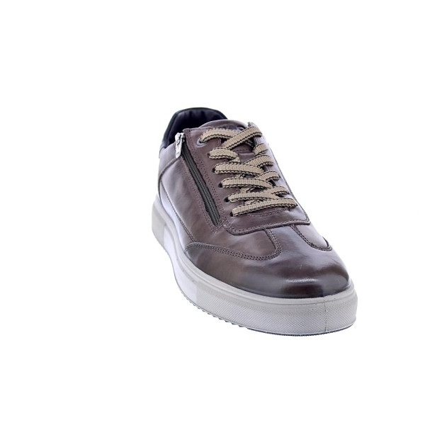 Zapatos Igi zapatos Hombre modelo 8635622 Marrón Cordón