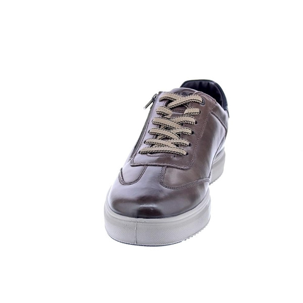 Zapatos Igi zapatos Hombre modelo 8635622 Marrón Cordón