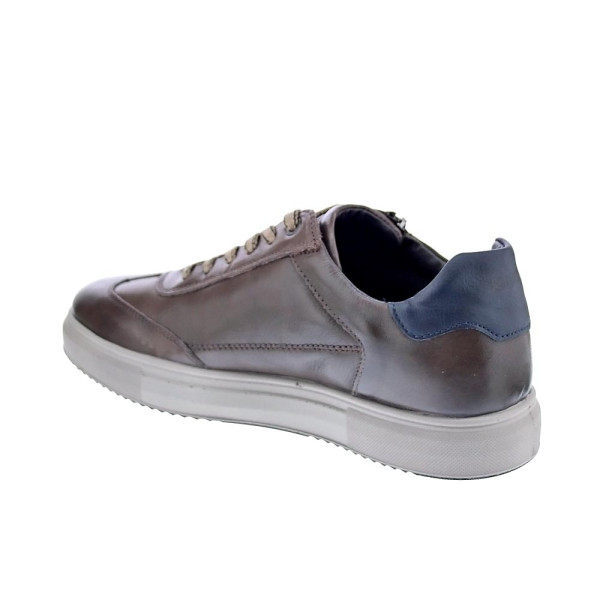 Zapatos Igi zapatos Hombre modelo 8635622 Marrón Cordón