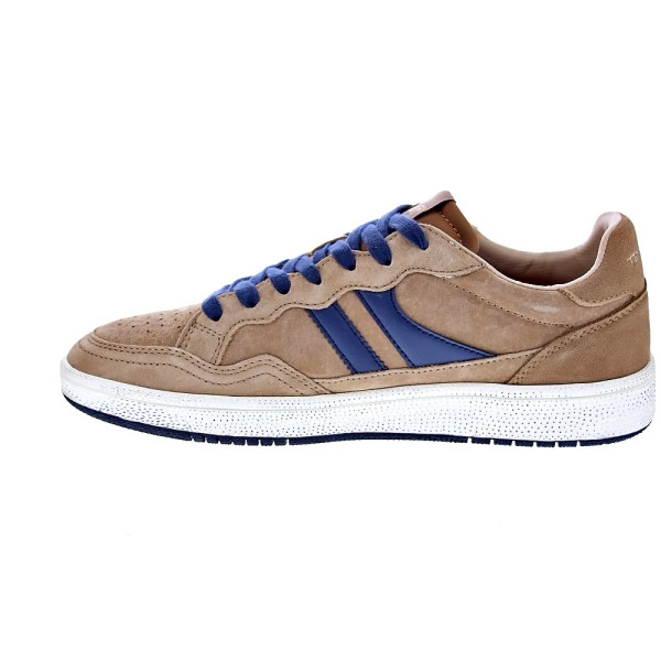Zapatillas Teddy Smith zapatos Hombre modelo 120310 Marrón Cordón