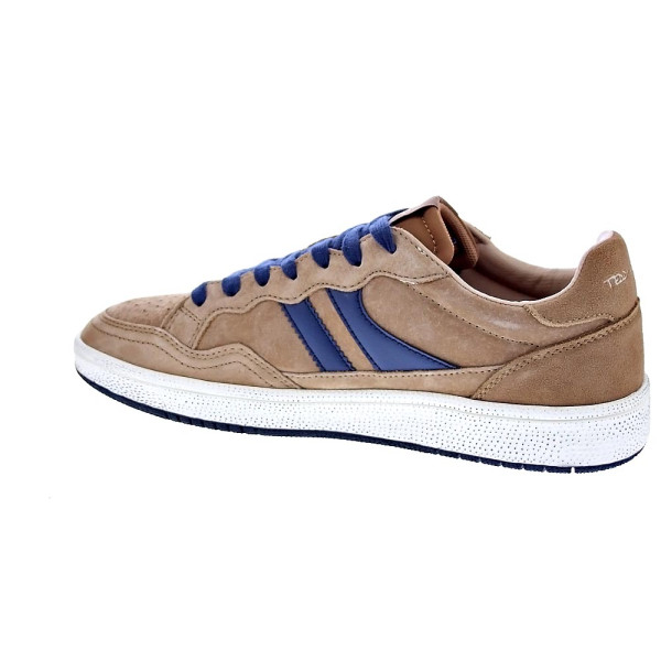 Zapatillas Teddy Smith zapatos Hombre modelo 120310 Marrón Cordón