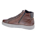 Botines Igi zapatos Hombre modelo 8635533 Marrón Cordón