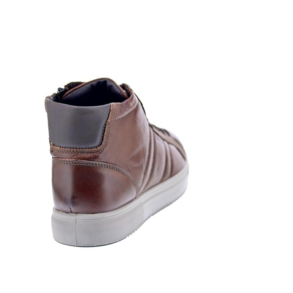 Botines Igi zapatos Hombre modelo 8635533 Marrón Cordón