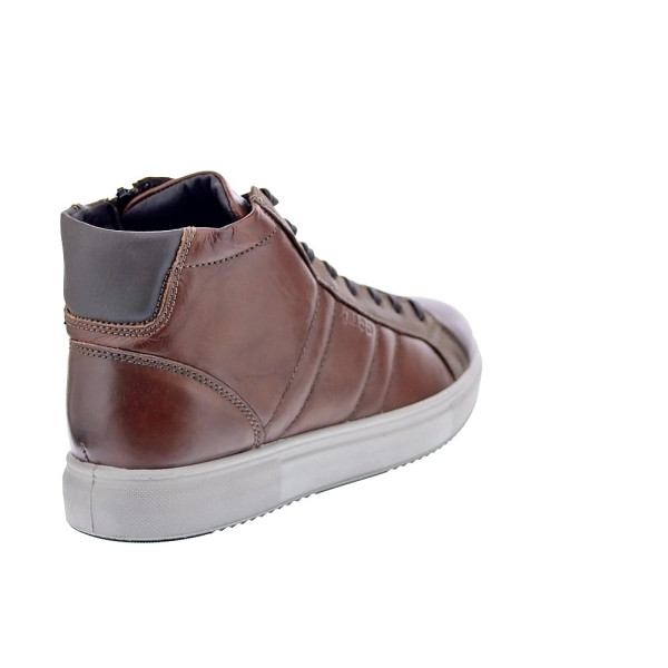 Botines Igi zapatos Hombre modelo 8635533 Marrón Cordón