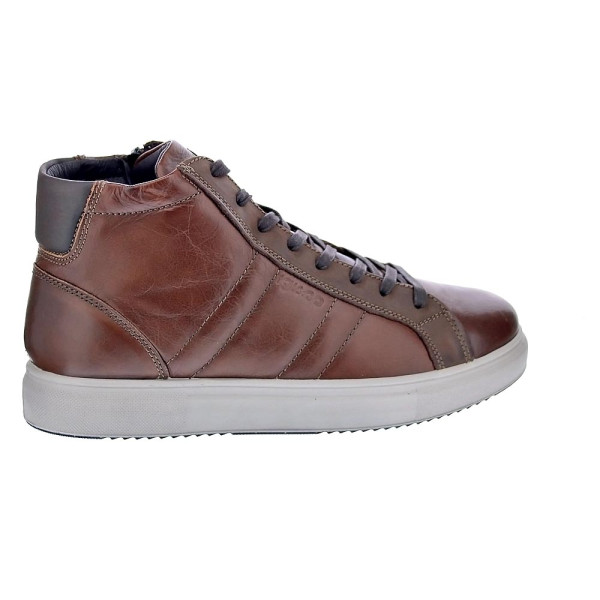 Botines Igi zapatos Hombre modelo 8635533 Marrón Cordón
