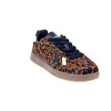 Zapatillas Pepe Jeans zapatos Mujer modelo Ball Print Marrón Cordón