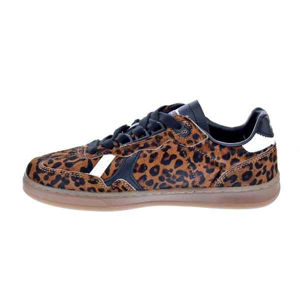Zapatillas Pepe Jeans zapatos Mujer modelo Ball Print Marrón Cordón