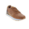 Zapatillas Mtng zapatos Hombre modelo Porland Marrón Cordón