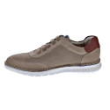 Zapatos Callaghan zapatos Hombre modelo 47116 Beige 