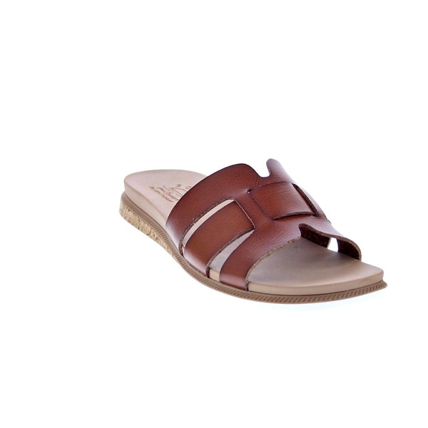 Sandalias Skechers zapatos Mujer modelo Desert Kiss Marrón 