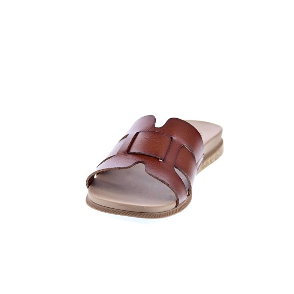 Sandalias Skechers zapatos Mujer modelo Desert Kiss Marrón 